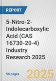 5-Nitro-2-Indolecarboxylic Acid (CAS 16730-20-4) Industry Research 2025: Global and Regional Market Trends 2019-2024 and Forecast to 2029- Product Image