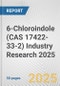 6-Chloroindole (CAS 17422-33-2) Industry Research 2025: Global and Regional Market Trends 2019-2024 and Forecast to 2029 - Product Image