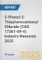 5-Phenyl-2-Thiophenecarbonyl Chloride (CAS 17361-89-6) Industry Research 2025: Global and Regional Market Trends 2019-2024 and Forecast to 2029 - Product Thumbnail Image
