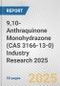 9,10-Anthraquinone Monohydrazone (CAS 3166-13-0) Industry Research 2025: Global and Regional Market Trends 2019-2024 and Forecast to 2029 - Product Thumbnail Image