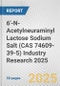 6'-N-Acetylneuraminyl Lactose Sodium Salt (CAS 74609-39-5) Industry Research 2025: Global and Regional Market Trends 2019-2024 and Forecast to 2029 - Product Thumbnail Image