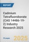 Cadmium Tetrafluoroborate (CAS 14486-19-2) Industry Research 2025: Global and Regional Market Trends 2019-2024 and Forecast to 2029 - Product Image