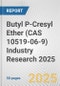 Butyl P-Cresyl Ether (CAS 10519-06-9) Industry Research 2025: Global and Regional Market Trends 2019-2024 and Forecast to 2029 - Product Thumbnail Image