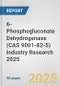6-Phosphogluconate Dehydrogenase (CAS 9001-82-5) Industry Research 2025: Global and Regional Market Trends 2019-2024 and Forecast to 2029 - Product Thumbnail Image