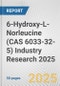 6-Hydroxy-L-Norleucine (CAS 6033-32-5) Industry Research 2025: Global and Regional Market Trends 2019-2024 and Forecast to 2029 - Product Image