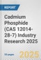 Cadmium Phosphide (CAS 12014-28-7) Industry Research 2025: Global and Regional Market Trends 2019-2024 and Forecast to 2029 - Product Image