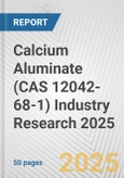 Calcium Aluminate (CAS 12042-68-1) Industry Research 2025: Global and Regional Market Trends 2019-2024 and Forecast to 2029- Product Image