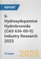 6-Hydroxydopamine Hydrobromide (CAS 636-00-0) Industry Research 2025: Global and Regional Market Trends 2019-2024 and Forecast to 2029 - Product Image