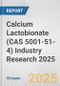 Calcium Lactobionate (CAS 5001-51-4) Industry Research 2025: Global and Regional Market Trends 2019-2024 and Forecast to 2029 - Product Image