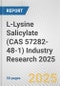 L-Lysine Salicylate (CAS 57282-48-1) Industry Research 2025: Global and Regional Market Trends 2019-2024 and Forecast to 2029 - Product Thumbnail Image