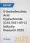 5-Aminolevulinic Acid Hydrochloride (CAS 5451-09-2) Industry Research 2025: Global and Regional Market Trends 2019-2024 and Forecast to 2029 - Product Image