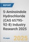 5-Aminoindole Hydrochloride (CAS 65795-92-8) Industry Research 2025: Global and Regional Market Trends 2019-2024 and Forecast to 2029 - Product Image