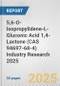5,6-O-Isopropylidene-L-Gluconic Acid 1,4-Lactone (CAS 94697-68-4) Industry Research 2025: Global and Regional Market Trends 2019-2024 and Forecast to 2029 - Product Thumbnail Image
