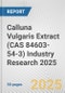 Calluna Vulgaris Extract (CAS 84603-54-3) Industry Research 2025: Global and Regional Market Trends 2019-2024 and Forecast to 2029 - Product Image
