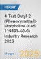 4-Tert-Butyl-2-(Phenoxymethyl)-Morpholine (CAS 119491-60-0) Industry Research 2025: Global and Regional Market Trends 2019-2024 and Forecast to 2029 - Product Thumbnail Image