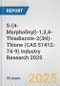 5-(4-Morpholinyl)-1,3,4-Thiadiazole-2(3H)-Thione (CAS 51412-74-9) Industry Research 2025: Global and Regional Market Trends 2019-2024 and Forecast to 2029 - Product Image