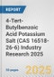 4-Tert-Butylbenzoic Acid Potassium Salt (CAS 16518-26-6) Industry Research 2025: Global and Regional Market Trends 2019-2024 and Forecast to 2029 - Product Thumbnail Image