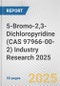 5-Bromo-2,3-Dichloropyridine (CAS 97966-00-2) Industry Research 2025: Global and Regional Market Trends 2019-2024 and Forecast to 2029 - Product Image
