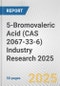 5-Bromovaleric Acid (CAS 2067-33-6) Industry Research 2025: Global and Regional Market Trends 2019-2024 and Forecast to 2029 - Product Thumbnail Image