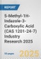 5-Methyl-1H-Indazole-3-Carboxylic Acid (CAS 1201-24-7) Industry Research 2025: Global and Regional Market Trends 2019-2024 and Forecast to 2029 - Product Thumbnail Image