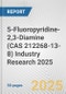 5-Fluoropyridine-2,3-Diamine (CAS 212268-13-8) Industry Research 2025: Global and Regional Market Trends 2019-2024 and Forecast to 2029 - Product Image