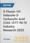 5-Fluoro-1H-Indazole-3-Carboxylic Acid (CAS 1077-96-9) Industry Research 2025: Global and Regional Market Trends 2019-2024 and Forecast to 2029 - Product Thumbnail Image