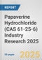 Papaverine Hydrochloride (CAS 61-25-6) Industry Research 2025: Global and Regional Market Trends 2019-2024 and Forecast to 2029 - Product Thumbnail Image