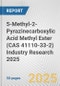 5-Methyl-2-Pyrazinecarboxylic Acid Methyl Ester (CAS 41110-33-2) Industry Research 2025: Global and Regional Market Trends 2019-2024 and Forecast to 2029 - Product Image