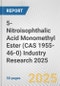 5-Nitroisophthalic Acid Monomethyl Ester (CAS 1955-46-0) Industry Research 2025: Global and Regional Market Trends 2019-2024 and Forecast to 2029 - Product Image