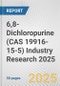 6,8-Dichloropurine (CAS 19916-15-5) Industry Research 2025: Global and Regional Market Trends 2019-2024 and Forecast to 2029 - Product Image