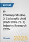 6-Chloropyridazine-3-Carboxylic Acid (CAS 5096-73-1) Industry Research 2025: Global and Regional Market Trends 2019-2024 and Forecast to 2029 - Product Thumbnail Image
