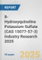 8-Hydroxyquinoline Potassium Sulfate (CAS 15077-57-3) Industry Research 2025: Global and Regional Market Trends 2019-2024 and Forecast to 2029 - Product Thumbnail Image