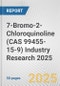 7-Bromo-2-Chloroquinoline (CAS 99455-15-9) Industry Research 2025: Global and Regional Market Trends 2019-2024 and Forecast to 2029 - Product Image