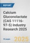 Calcium Gluconolactate (CAS 11116-97-5) Industry Research 2025: Global and Regional Market Trends 2019-2024 and Forecast to 2029 - Product Thumbnail Image