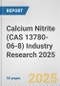 Calcium Nitrite (CAS 13780-06-8) Industry Research 2025: Global and Regional Market Trends 2019-2024 and Forecast to 2029 - Product Image