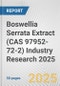 Boswellia Serrata Extract (CAS 97952-72-2) Industry Research 2025: Global and Regional Market Trends 2019-2024 and Forecast to 2029 - Product Thumbnail Image