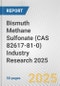 Bismuth Methane Sulfonate (CAS 82617-81-0) Industry Research 2025: Global and Regional Market Trends 2019-2024 and Forecast to 2029 - Product Thumbnail Image