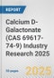 Calcium D-Galactonate (CAS 69617-74-9) Industry Research 2025: Global and Regional Market Trends 2019-2024 and Forecast to 2029 - Product Image