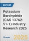 Potassium Borohydride (CAS 13762-51-1) Industry Research 2025: Global and Regional Market Trends 2019-2024 and Forecast to 2029 - Product Image