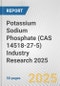 Potassium Sodium Phosphate (CAS 14518-27-5) Industry Research 2025: Global and Regional Market Trends 2019-2024 and Forecast to 2029 - Product Thumbnail Image