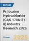Prilocaine Hydrochloride (CAS 1786-81-8) Industry Research 2025: Global and Regional Market Trends 2019-2024 and Forecast to 2029 - Product Thumbnail Image