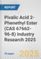 Pivalic Acid 2-Phenethyl Ester (CAS 67662-96-8) Industry Research 2025: Global and Regional Market Trends 2019-2024 and Forecast to 2029 - Product Thumbnail Image
