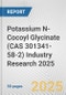 Potassium N-Cocoyl Glycinate (CAS 301341-58-2) Industry Research 2025: Global and Regional Market Trends 2019-2024 and Forecast to 2029 - Product Image