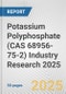 Potassium Polyphosphate (CAS 68956-75-2) Industry Research 2025: Global and Regional Market Trends 2019-2024 and Forecast to 2029 - Product Thumbnail Image