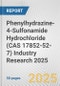 Phenylhydrazine-4-Sulfonamide Hydrochloride (CAS 17852-52-7) Industry Research 2025: Global and Regional Market Trends 2019-2024 and Forecast to 2029 - Product Image