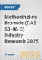 Methantheline Bromide (CAS 53-46-3) Industry Research 2025: Global and Regional Market Trends 2019-2024 and Forecast to 2029 - Product Image