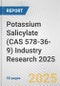 Potassium Salicylate (CAS 578-36-9) Industry Research 2025: Global and Regional Market Trends 2019-2024 and Forecast to 2029 - Product Thumbnail Image