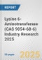 Lysine 6-Aminotransferase (CAS 9054-68-6) Industry Research 2025: Global and Regional Market Trends 2019-2024 and Forecast to 2029 - Product Thumbnail Image