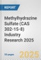 Methylhydrazine Sulfate (CAS 302-15-8) Industry Research 2025: Global and Regional Market Trends 2019-2024 and Forecast to 2029 - Product Thumbnail Image