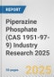 Piperazine Phosphate (CAS 1951-97-9) Industry Research 2025: Global and Regional Market Trends 2019-2024 and Forecast to 2029 - Product Thumbnail Image